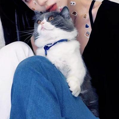可爱的情侣头像对象不是人系列女生版图片