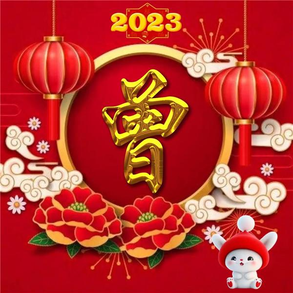 2024最新姓氏头像 过年新年好看的兔年2024姓氏头像图片