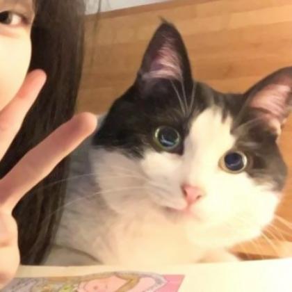 情侣头像高级氛围感唯美高清图片