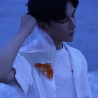2024年流行男生头像风格