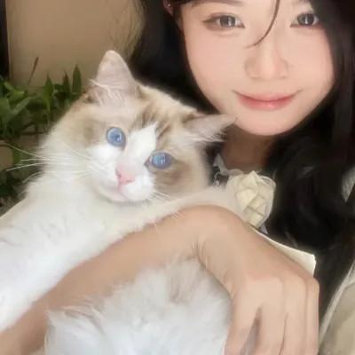 微信情侣头像高清无水印下载