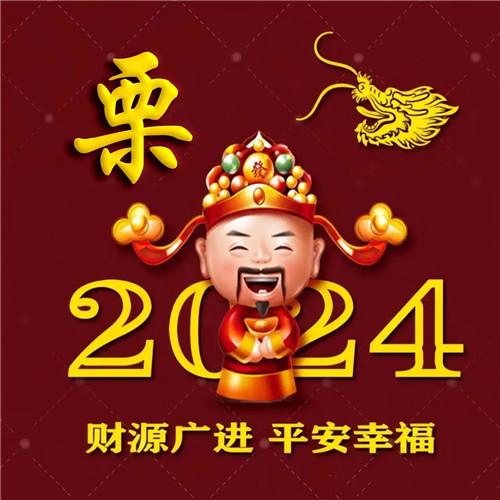 2024新年专属姓氏招财好运微信头像图片