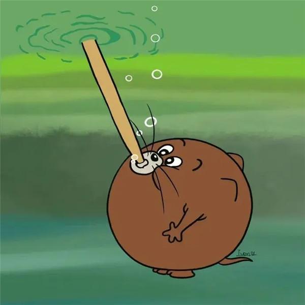 合理但是有病的情侣头像图片，真的是太有爱了！