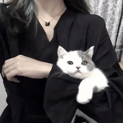 微信情侣头像图片大全