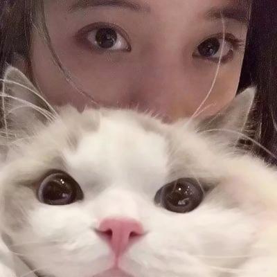 头像情侣对象是猫 高清可爱的真人小众情侣头像对象是猫咪图片