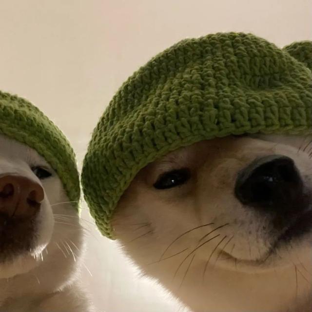 微信头像女生一看就喜欢