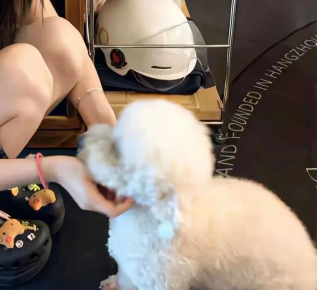 爱情经不起等待的表情包图片
